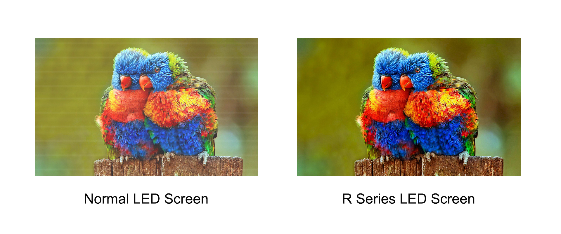 normal LED screen vs RTLED retail screen
