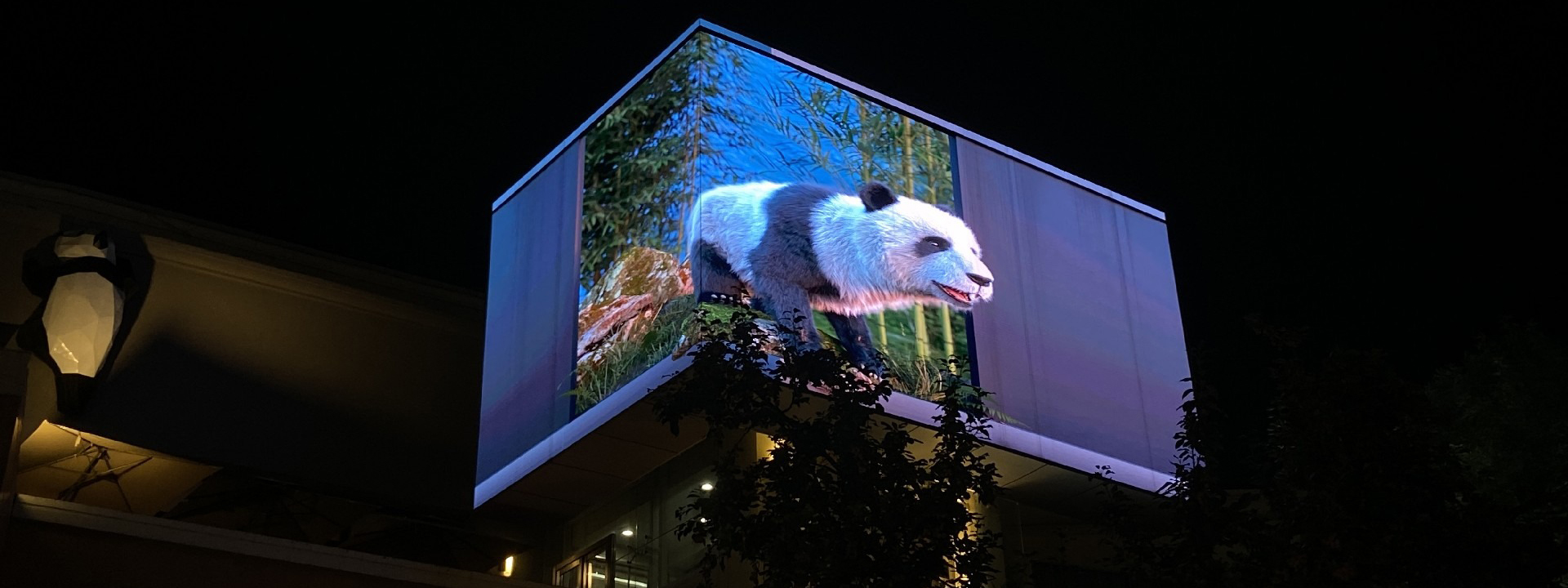 ការបង្ហាញអំពូល LED អាក្រាត 3D